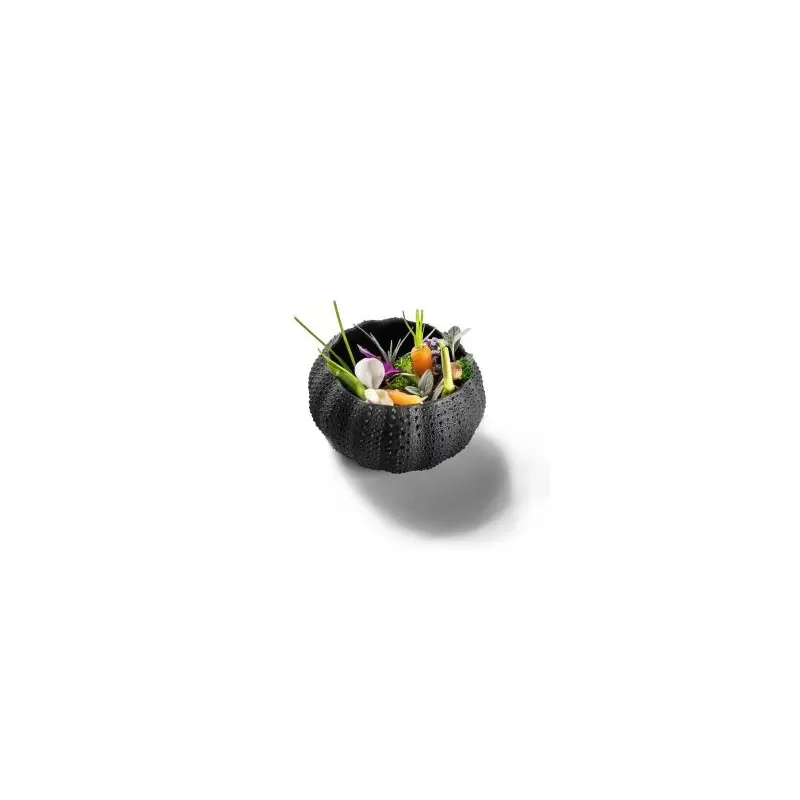Pordamsa B0122-0057G Pordamsa Sea Urchin Mat 12 cm Black