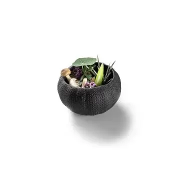 Pordamsa B0122-0057N Pordamsa Sea Urchin Mat 8 cm Black