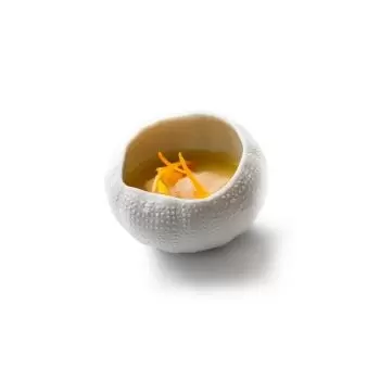 Pordamsa V0122-0057N Pordamsa Sea Urchin Gloss/Mat 8 cm
