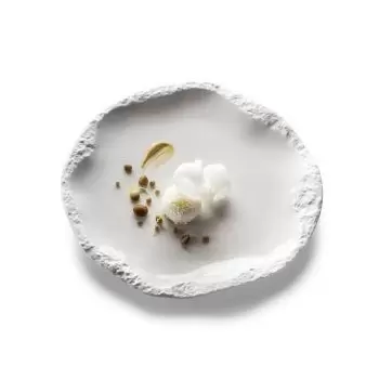 Pordamsa V0122-0627 Pordamsa Roca Plate Mat/Gloss 27 cm