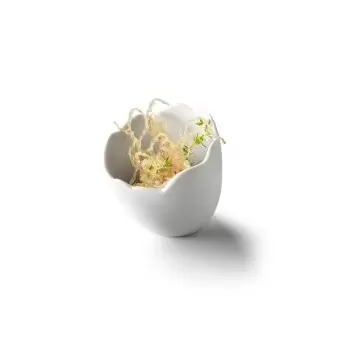 Pordamsa V0122-0111 Pordamsa Ovo Degust Porcelain Egg Mat/Gloss 75ml