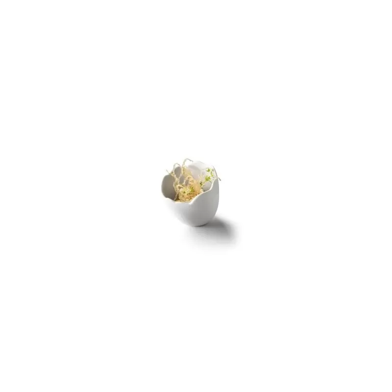 Pordamsa V0122-0111 Pordamsa Ovo Degust Porcelain Egg Mat/Gloss 75ml