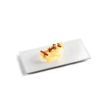 Pordamsa V0858-0520 Pordamsa Minimal Rect Plate 24 x 12 cm