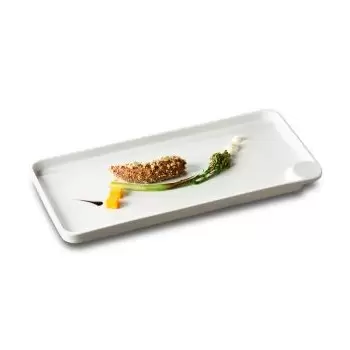 Pordamsa V0700-0430 Pordamsa Matin-Midi-Soir Main Tray 32 x 16 cm