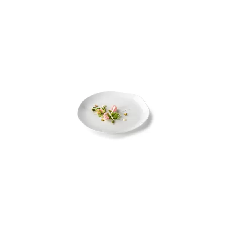 Pordamsa V0388-0124 Pordamsa Gastro Plate 24 cm