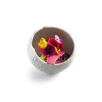 Pordamsa V0122-0102 Pordamsa Coconut Bowl