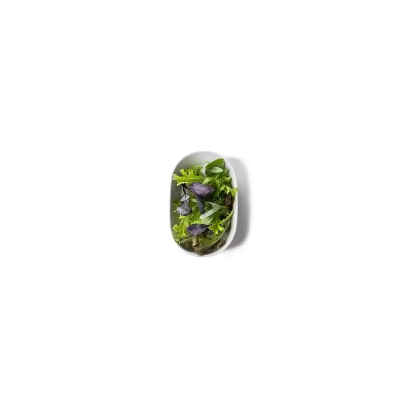 Pordamsa V0850-0520 Pordamsa Casual Oval Deep Tray 20 cm
