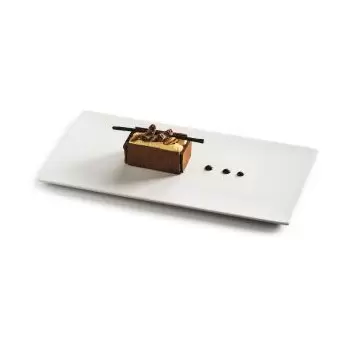 Pordamsa M0858-0533 Pordamsa Canvas Rect Plate Mat 32 x 16 cm