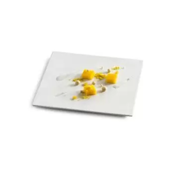 Pordamsa M0858-0521 Pordamsa Canvas Sq Plate Mat 21 x 21 cm