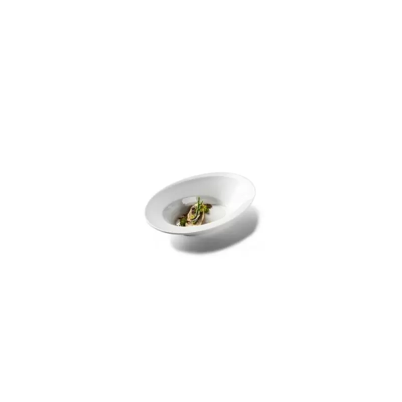 Pordamsa V0550-0525 Pordamsa Ammonite Deep Plate 25 x 18 x 5 cm