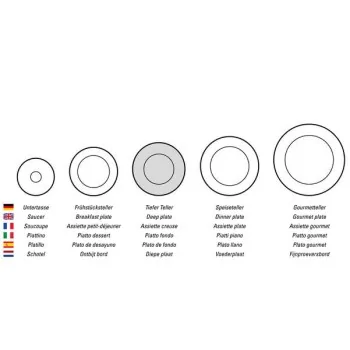Villeroy & Boch 10-4264-2700 Villeroy & Boch NewMoon Collection Fin...