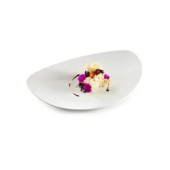 Pordamsa V0333-0337 Pordamsa Wave Tray 37 cm