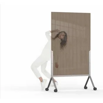 Rosseto RD002 Rosseto Avant GuardeSemi-Transparent Bronze Room Divi...