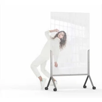 Rosseto RD001 Rosseto Avant Guarde Semi-Clear Room Divider - 1 Piec...