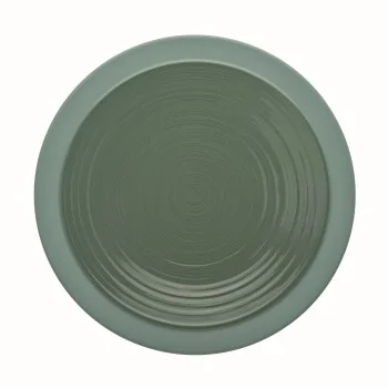 Degrenne 230951 Degrenne Bahia Argile Verte Round Dinner Plate 26 c...