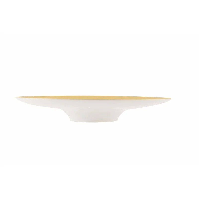 Degrenne 225197 Degrenne Boreal Satin Gold Oval Gourmet Plate 30 x ...
