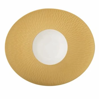 Degrenne 225197 Degrenne Boreal Satin Gold Oval Gourmet Plate 30 x ...