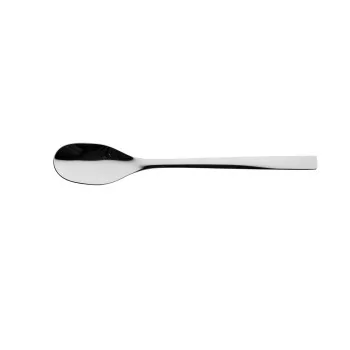 Degrenne Guest Stainless Steel Serving Spoon 270 mm - 10 ''5/8 - Pack of 1