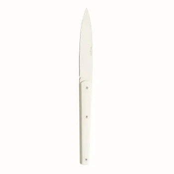 Degrenne Mirage Blanc Stainless Steel Mirage White Table/Steak Knife 230 mm - 9 ''1/16 - Pack of 6