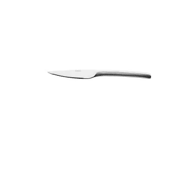Degrenne Guest Star Stainless Steel Solid Handle Steak Knife - Serrated 232 mm - 9 ''1/8 - Pack of 12