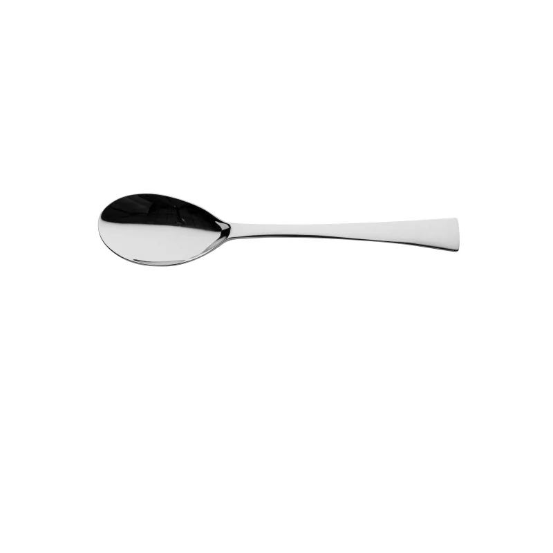 Degrenne Solstice Stainless Steel Serving Spoon 260 mm - 10 ''1/4 - Pack of 1