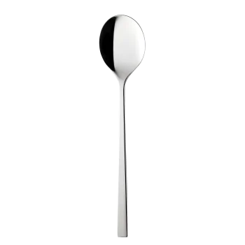 Degrenne Fuse Stainless Steel Serving Spoon 260 mm - 10 ''1/4 - Pack of 1