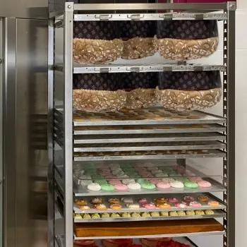 Smart Tray Trolley with Adjustable Guides and Anti-Release System - 18'' x 26''