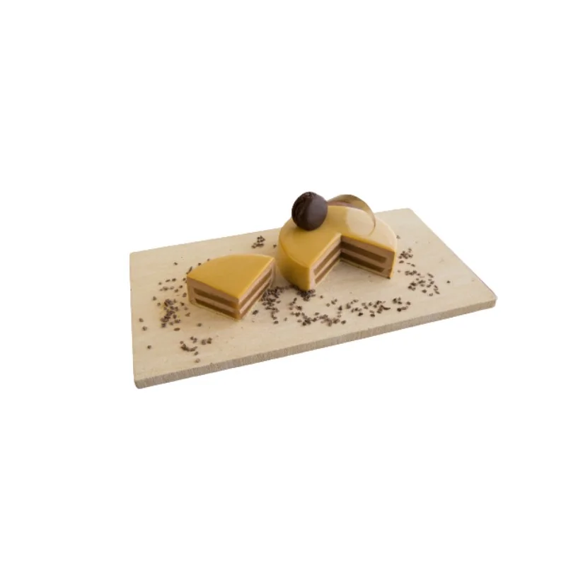 SILMAE Professional Entremet Insert Silicone Pastry Mold - Ø 124 mm x 15 mm – 172 ml - 12 cavity SILMAE Professional Entremet Insert Silicone Pastry Mold - Ø 124 mm x 15 mm – 172 ml - 12 cavity