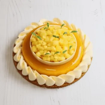 SILMAE Professional Entremet Insert Silicone Pastry Mold - Ø 120 mm x 18 mm – 200 ml - 12 cavity