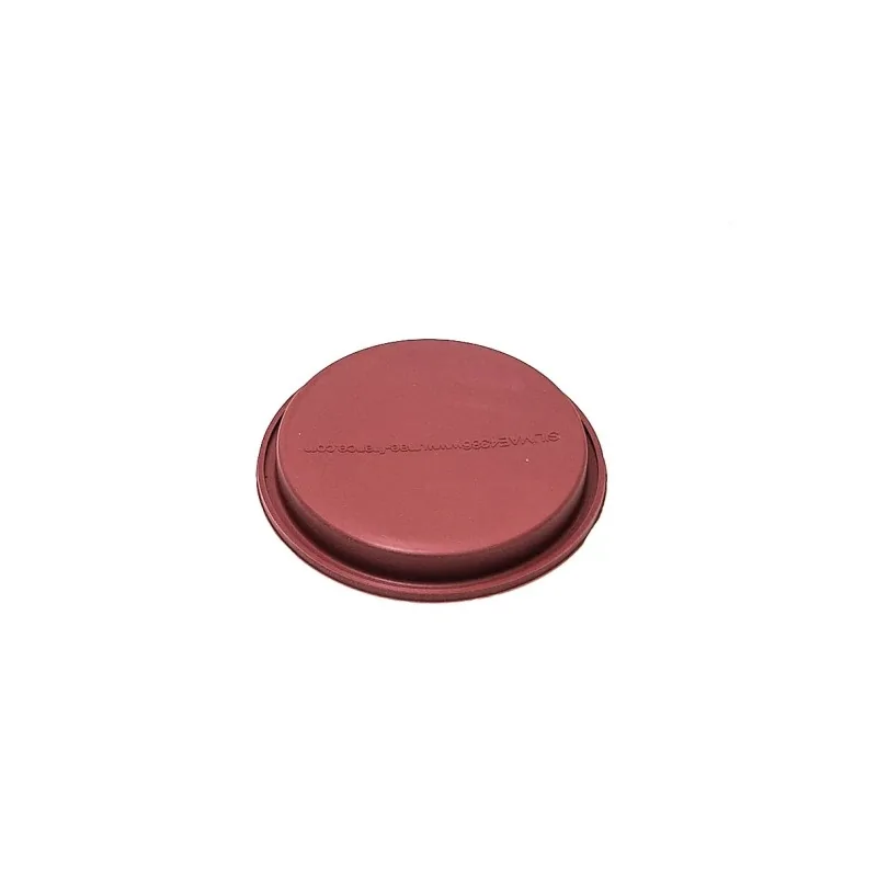 SILMAE Professional Sponge Cake Silicone Pastry Mold - Ø 130 mm x 18 mm – 239 ml - 1 cavity SILMAE Professional Sponge Cake Silicone Pastry Mold - Ø 130 mm x 18 mm – 239 ml - 1 cavity