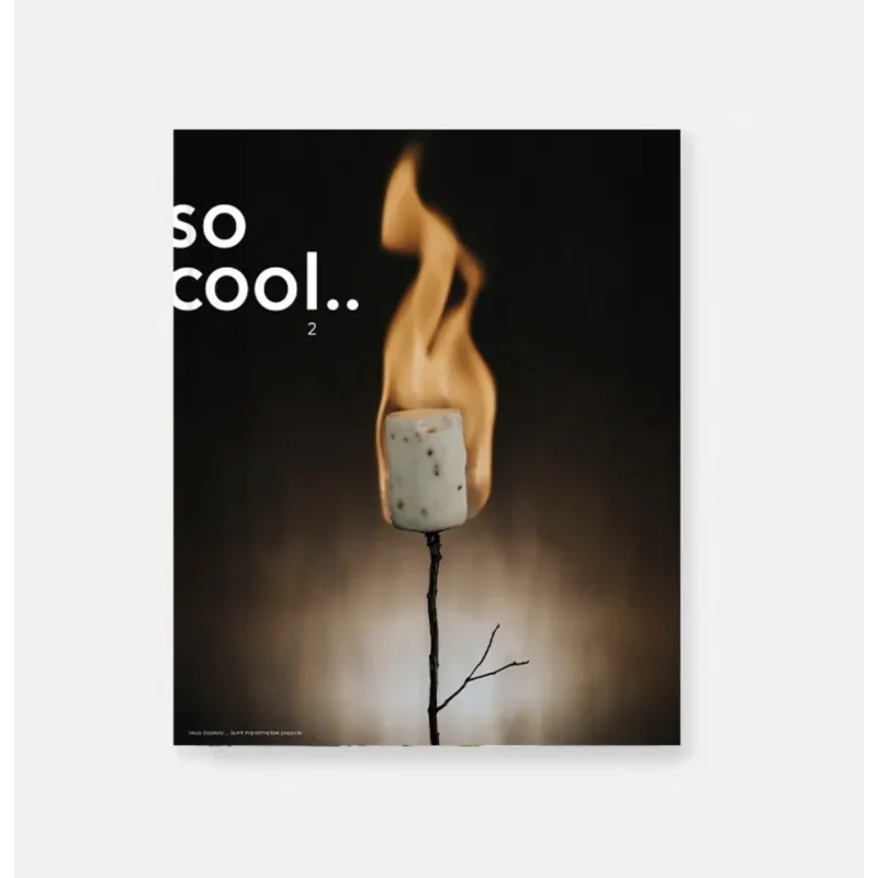 So Cool Magazine 2, The Magazine of Signature Ice Cream by Grupo Vilbo So Cool Magazine 2, The Magazine of Signature Ice Cream by Grupo Vilbo