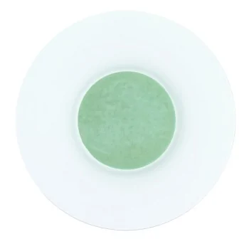 Handcrafted Fine Porcelain Gourmet Bowl Seafoam 28 cm - Height 4.5 cm - Set of 4