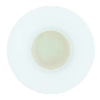 Handcrafted Fine Porcelain Gourmet Bowl Ivory 28 cm - Height 4.5 cm - Set of 4
