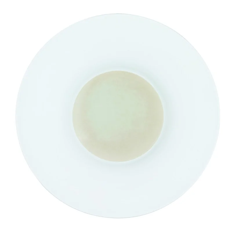 Handcrafted Fine Porcelain Gourmet Bowl Ivory 28 cm - Height 4.5 cm - Set of 4