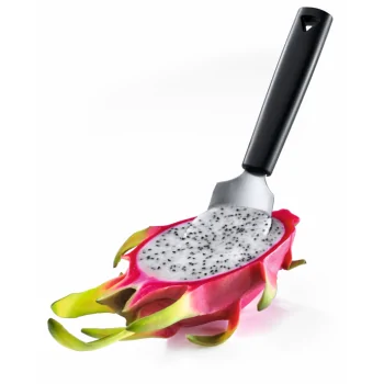 Triangle Fruit Spoon. Boxed