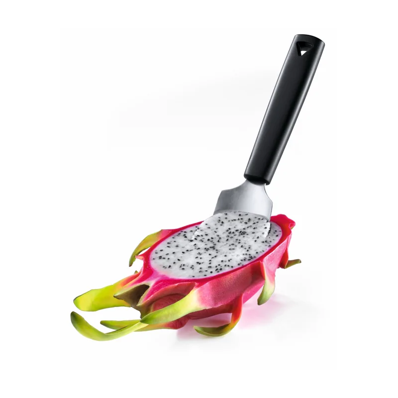 Triangle Fruit Spoon. Boxed Triangle Fruit Spoon. Boxed