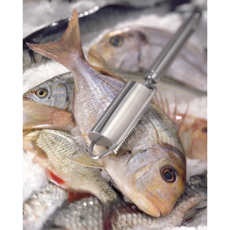 Triangle Fish Scaler. Boxed Triangle Fish Scaler. Boxed