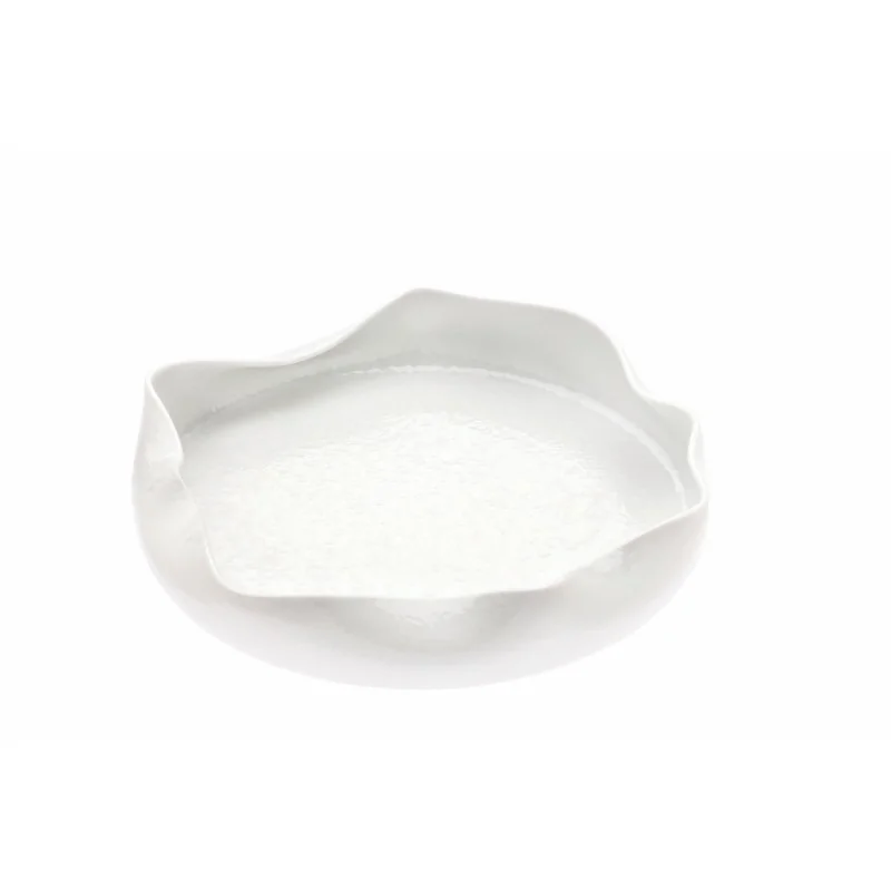 Handcrafted Fine Porcelain Bowl Gourmet Internally Bended "Reverse" 30 cm - Height 4.5 cm - Set of 4