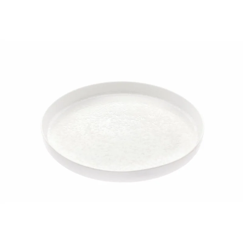 Handcrafted Fine Porcelain Bowl Gourmet Low 29 cm - Height 3 cm - Set of 4