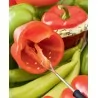 Triangle Pepper Seeder. Boxed