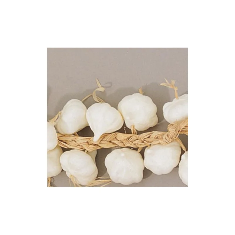 FISCHER Garlic String
