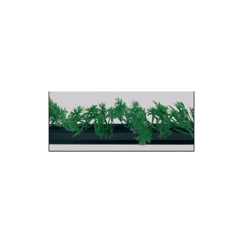 FISCHER Parsley Garnish Black Base - Box of 12 Pieces