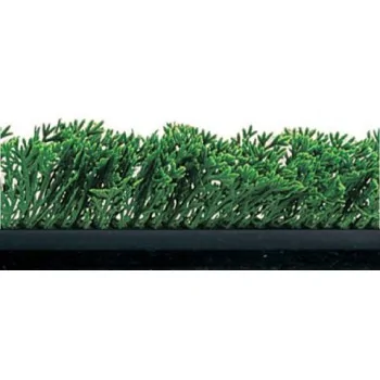 FISCHER Green Cypress Divider Black Base 5.5 x 75 cm -