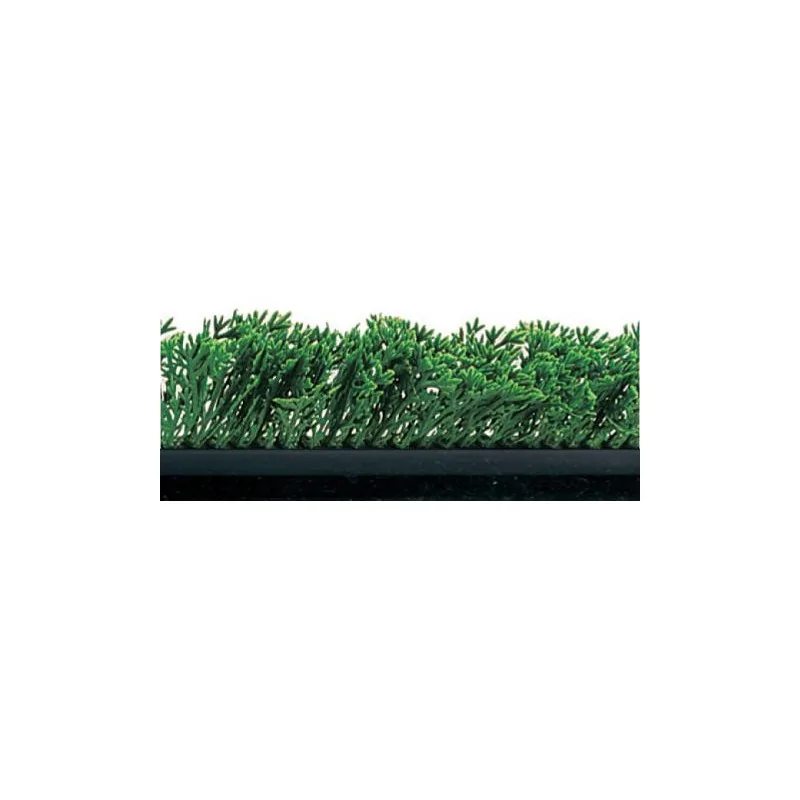 FISCHER Green Cypress Divider Black Base 5.5 x 75 cm - FISCHER Green Cypress Divider Black Base 5.5 x 75 cm -