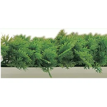 FISCHER Parsley Garnish Divider 5.5 x 75 cm -