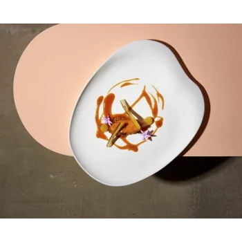 Jelly Organic Dinner Plate - Glazed - 29 x 23 x 2 cm - Set of 4