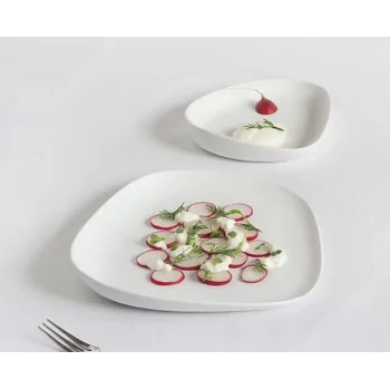 Yayoi Nature-Inspired Large Plate - Matte - Set of 4