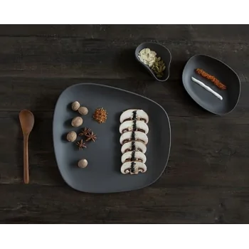 Yayoi Nature-Inspired Large Plate - Black - Set of 4