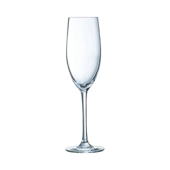 Chef & Sommelier Cabernet Flute 8.0 Oz - Set of 24