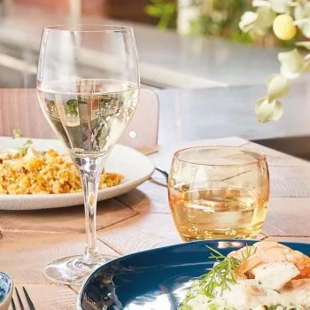 Chef & Sommelier Exalt Universal Glass 10.5 Oz - Set of 24